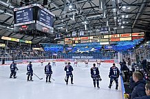 Eishockey, Herren, DEL, Saison 2024-2025, Spieltag 22, ERC Ingolstadt - Düsseldorfer EG, 01.12.2024