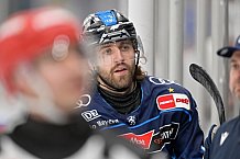 Eishockey, Herren, DEL, Saison 2024-2025, Spieltag 36, ERC Ingolstadt - Kölner Haie, 12.01.2025