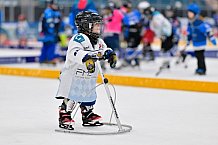 Eishockey, Saison 2025-2026, ERC Ingolstadt - Kids On Ice Day, 29.11.2025