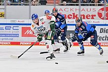 Eishockey, Herren, DEL, Saison 2023-2024, Spieltag 35, ERC Ingolstadt - Augsburger Panther, 05.01.2024