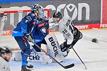 Eishockey, Herren, DEL, Saison 2024-2025, Spieltag 36, ERC Ingolstadt - Kölner Haie, 12.01.2025