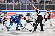Eishockey, Herren, DEL, Saison 2025-2026, Spiel 16, ERC Ingolstadt - Kölner Haie, 31.10.2025