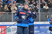 Eishockey, Herren, DEL, Saison 2024-2025, Vorbereitung, ERC Ingolstadt - Nürnberg Ice Tigers, 15.09.2024