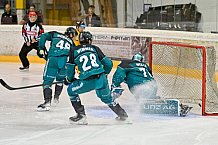 Eishockey, Herren, DEL, Saison 2026-2027, ERC Ingolstadt - HC Verva Litvinov - Steinbach Black Wings Linz, 22.08.2026