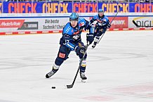 Eishockey, Herren, DEL, Saison 2025-2026, Spiel 44, ERC Ingolstadt - Dresdner Eislöwen, 27.01.2026