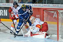 ERC Ingolstadt vs Duesseldorfer EG, Eishockey, DEL, Deutsche Eishockey Liga, Spieltag 19, 18.11.2016