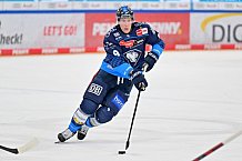 Eishockey, Herren, DEL, Saison 2024-2025, Spieltag 42, ERC Ingolstadt - Kölner Haie, 31.01.2025