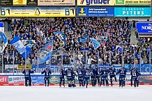 Eishockey, Herren, DEL, Saison 2024-2025, Spieltag 41, ERC Ingolstadt - Eisbären Berlin, 26.02.2025