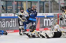 Eishockey, Frauen, DFEL, Saison 2024-2025, ERC Ingolstadt - Mad Dogs Mannheim, 23.11.2024