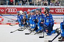 Eishockey, Herren, DEL, Saison 2025-2026, Spiel 16, ERC Ingolstadt - Kölner Haie, 31.10.2025