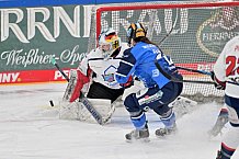 Eishockey, Frauen, DFEL, Saison 2023-2024, ERC Ingolstadt - ESC Planegg-Würmtal, 26.11.2023