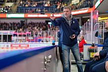 Eishockey, Herren, DEL, Saison 2024-2025, Playoffs Viertelfinale, Spiel 6, Nürnberg Ice Tigers - ERC Ingolstadt, 28.03.2025