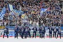 Eishockey, Herren, DEL, Saison 2024-2025, Spieltag 15, ERC Ingolstadt - Augsburger Panther, 03.11.2024