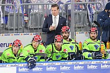 Eishockey, Herren, DEL, Saison 2020-2021, Adler Mannheim - ERC Ingolstadt, 15.02.2021