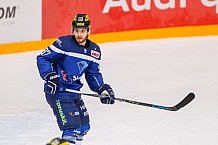 ERC Ingolstadt  - Grizzlys Wolfsburg, Eishockey, DEL, Deutsche Eishockey Liga, Spieltag 37, 13.01.2017
