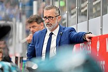 Hockey, Mens, CHL, Season 2025-2026, Regular Season, Round of 16, ERC Ingolstadt - EC Red Bull Salzburg, 12.11.2025