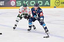 Eishockey, Mens, CHL, Season 2023-2024, ERC Ingolstadt - Färjestad Karlstad, 02.09.2023