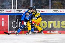 Eishockey, U20, DNL, Saison 2024-2025, ERC Ingolstadt - Krefelder EV 81, 01.03.2025