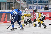 Eishockey, Frauen, DFEL, Saison 2023-2024, ERC Ingolstadt - Mad Dogs Mannheim, 18.02.2024
