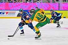 Hockey, Mens, CHL, Season 2025-2026, Regular Season, Game Day 1, ERC Ingolstadt - Ilves Tampere, 28.08.2025