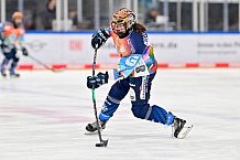 Eishockey, Frauen, DFEL, Saison 2024-2025, ERC Ingolstadt - ECDC Memmingen Indians, 16.11.2024