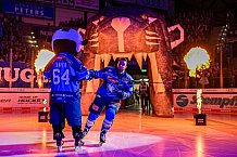 Eishockey, Herren, DEL, Saison 2026-2027, Spieltag 8, ERC Ingolstadt - Löwen Frankfurt, 11.10.2026