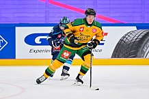 Hockey, Mens, CHL, Season 2025-2026, Regular Season, Game Day 1, ERC Ingolstadt - Ilves Tampere, 28.08.2025