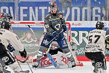 Eishockey, Herren, DEL, Saison 2023-2024, Spieltag 51, ERC Ingolstadt - Kölner Haie, 03.03.2024