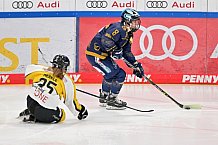 Eishockey, Frauen, DFEL, Saison 2022-2023, ERC Ingolstadt - Mad Dogs Mannheim, 20.11.2022
