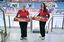 Eishockey, Herren, DEL, Saison 2024-2025, Vorbereitung, ERC Ingolstadt - Nürnberg Ice Tigers, 15.09.2024