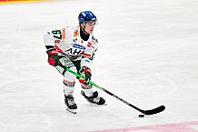 Eishockey, Herren, DEL, Saison 2025-2026, Spiel 19, ERC Ingolstadt - Augsburger Panther, 16.11.2025
