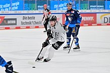Eishockey, Herren, DEL, Saison 2024-2025, Spieltag 36, ERC Ingolstadt - Kölner Haie, 12.01.2025