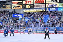 Eishockey, Herren, DEL, Saison 2024-2025, Spieltag 28, ERC Ingolstadt - Schwenninger Wild Wings, 20.12.2024