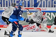 Eishockey, Herren, DEL, Saison 2024-2025, Spieltag 42, ERC Ingolstadt - Kölner Haie, 31.01.2025