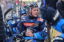 Eishockey, Herren, DEL, Saison 2024-2025, Spieltag 8, ERC Ingolstadt - Grizzlys Wolfsburg, 11.10.2024