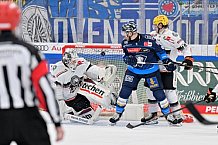 Eishockey, Herren, DEL, Saison 2024-2025, Spieltag 14, ERC Ingolstadt - Löwen Frankfurt, 31.10.2024
