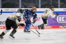 Eishockey, Frauen, DFEL, Saison 2024-2025, ERC Ingolstadt - Mad Dogs Mannheim, 23.11.2024