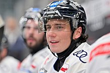 Eishockey, Herren, DEL, Saison 2024-2025, Vorbereitung, ERC Ingolstadt - Dresdner Eislöwen, 18.08.2024
