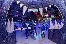 ERC Ingolstadt vs Fischtown Pinguins, Eishockey, DEL, Deutsche Eishockey Liga, Spieltag 13, 21.10.2018