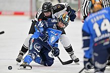 Eishockey, Frauen, DFEL, Saison 2023-2024, ERC Ingolstadt - Amsterdam Tigers, 06.01.2024