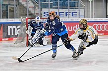Eishockey, Frauen, DFEL, Saison 2024-2025, ERC Ingolstadt - Mad Dogs Mannheim, 23.11.2024