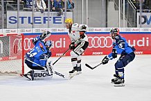 Eishockey, Herren, DEL, Saison 2023-2024, Spieltag 50, ERC Ingolstadt - Löwen Frankfurt, 01.03.2024
