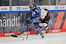 Eishockey, Frauen, DFEL, Saison 2023-2024, ERC Ingolstadt - EC Bergkamener Bären, 28.10.2023