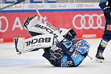 Eishockey, Herren, DEL, Saison 2022-2023, Spieltag 19, ERC Ingolstadt - Bietigheim Steelers, 03.11.2022