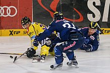 ERC Ingolstadt - Krefeld Pinguine, Eishockey, DEL, Deutsche Eishockey Liga, Spieltag 34, 05.01.2016, Foto: st-foto.de / Oliver STRISCH