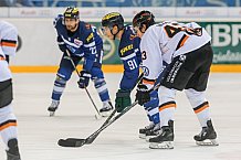 ERC Ingolstadt  - Grizzlys Wolfsburg, Eishockey, DEL, Deutsche Eishockey Liga, Spieltag 37, 13.01.2017