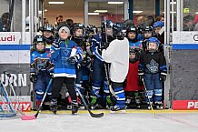Eishockey, Herren, DEL, Saison 2024-2025, ERC Ingolstadt - Kids On Ice Day, 11.01.2025