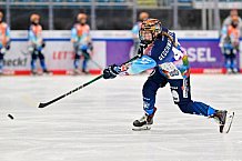 Eishockey, Frauen, DFEL, Vorbereitung, Saison 202-2025, ERC Ingolstadt - St. Pölten, 07.09.2024