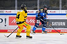 Eishockey, U20, DNL, Saison 2024-2025, ERC Ingolstadt - Krefelder EV 81, 01.03.2025