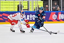 Hockey, Mens, CHL, Season 2025-2026, Regular Season, Round of 16, ERC Ingolstadt - EC Red Bull Salzburg, 12.11.2025